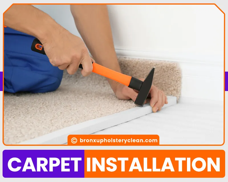 carpet cleaning in bronx, carpet cleaning in new york, carpet cleaning bronx, carpet cleaners in bronx, carpet cleaners in new york, commercial carpet cleaning, commercial carpet cleaning in bronx, bronx rug cleaners, rug cleaning services in bronx, same day carpet cleaning, same day rug cleaning